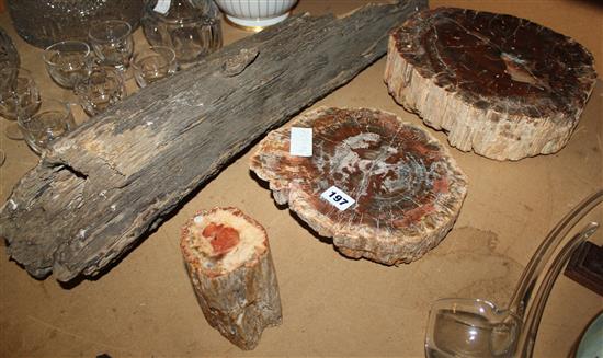 4 pieces of petrified wood